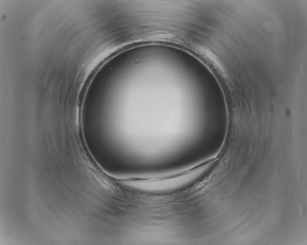 X0000088611324200706081424