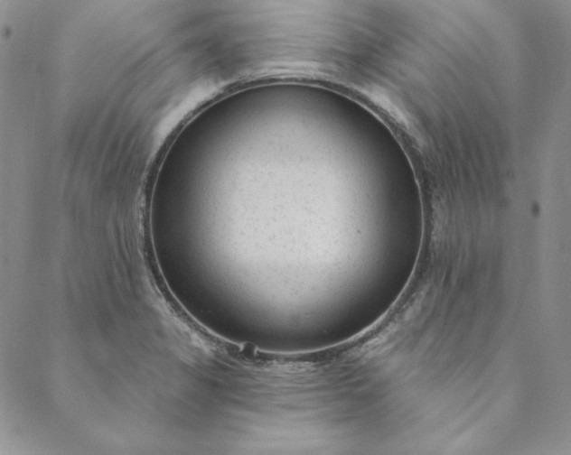 X0000088611325200706081424