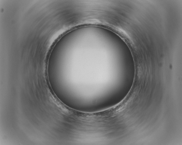 X0000088611326200706081424