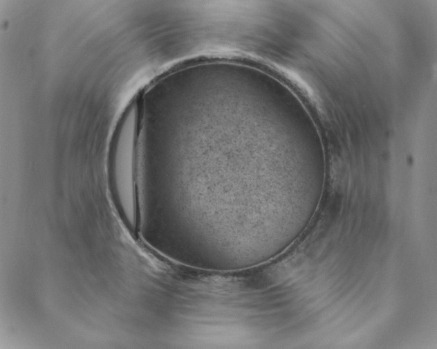 X0000088611327200706081424