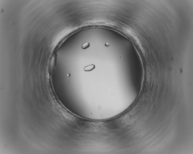 X0000088611328200706081424