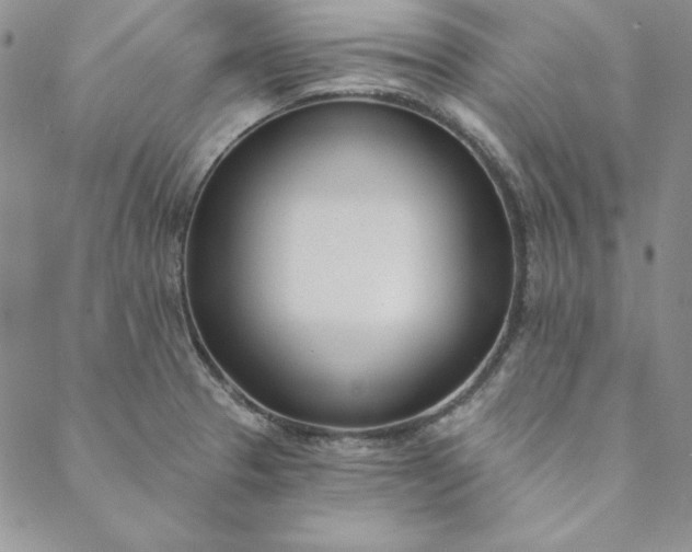 X0000088611329200706081424