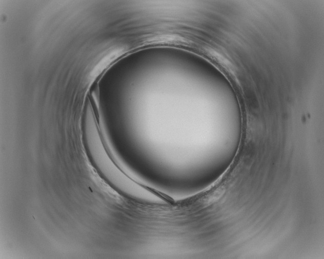 X0000088611330200706081424