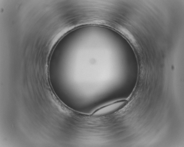 X0000088611332200706081424