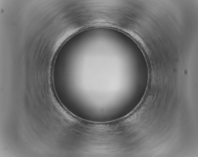 X0000088611333200706081424