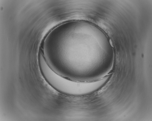 X0000088611334200706081425