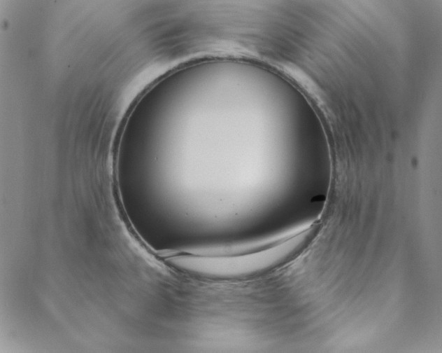 X0000088611335200706081425