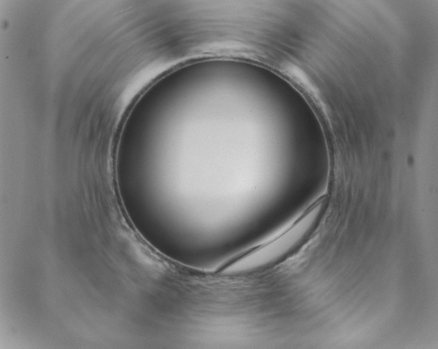 X0000088611336200706081425