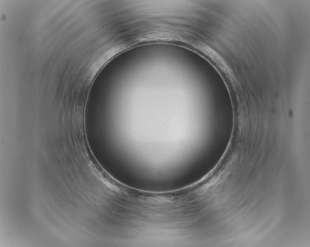 X0000088611337200706081425