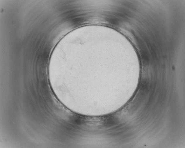 X0000088611338200706081425