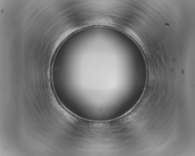 X0000088611339200706081425