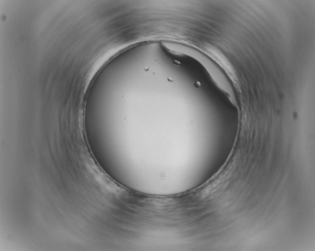 X0000088611340200706081425