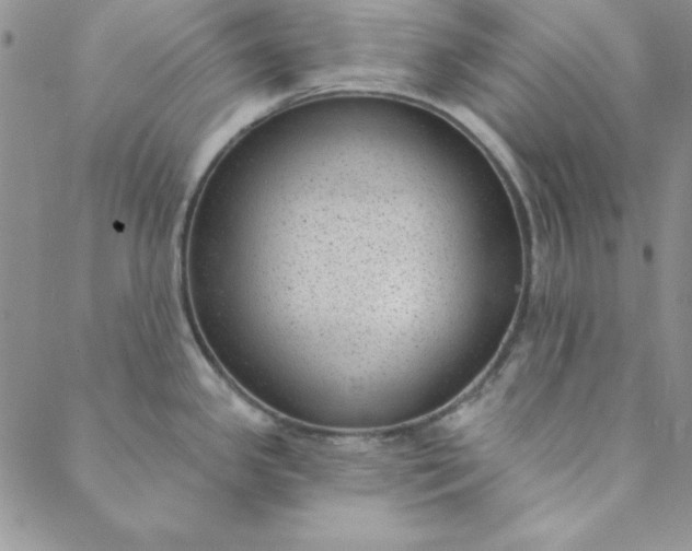 X0000088611341200706081425