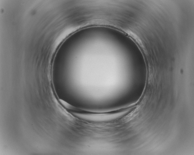 X0000088611342200706081425