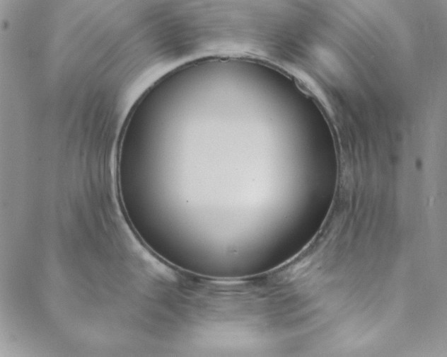 X0000088611343200706081425