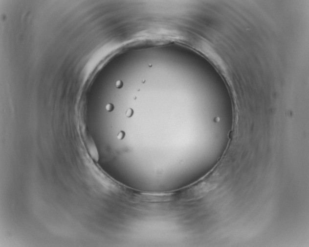 X0000088611344200706081425