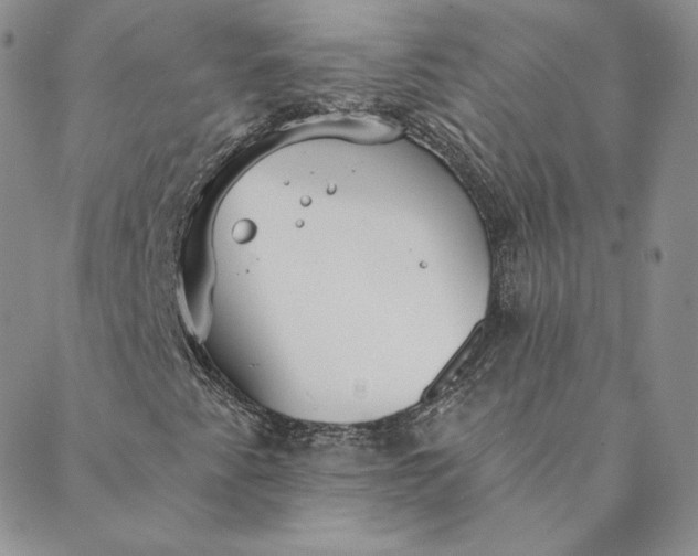 X0000088611345200706081424