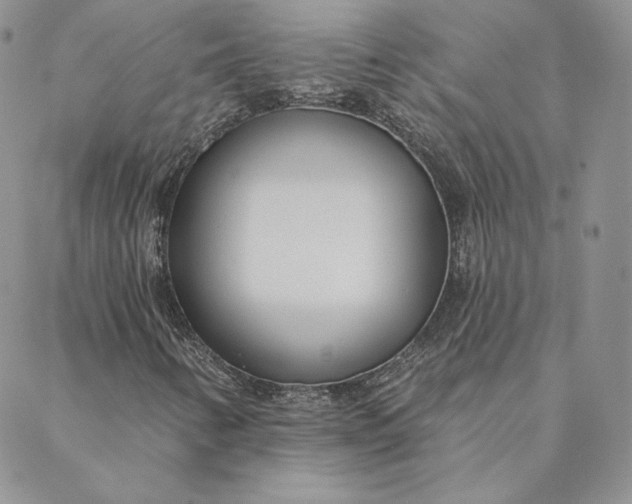 X0000088611346200706081424