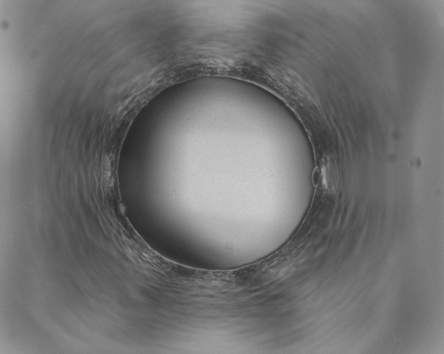 X0000088611347200706081424