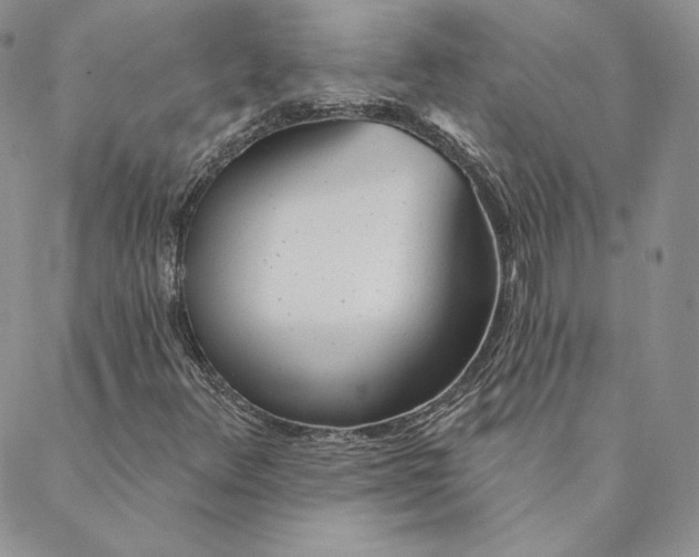 X0000088611348200706081424