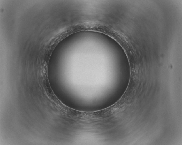 X0000088611349200706081424