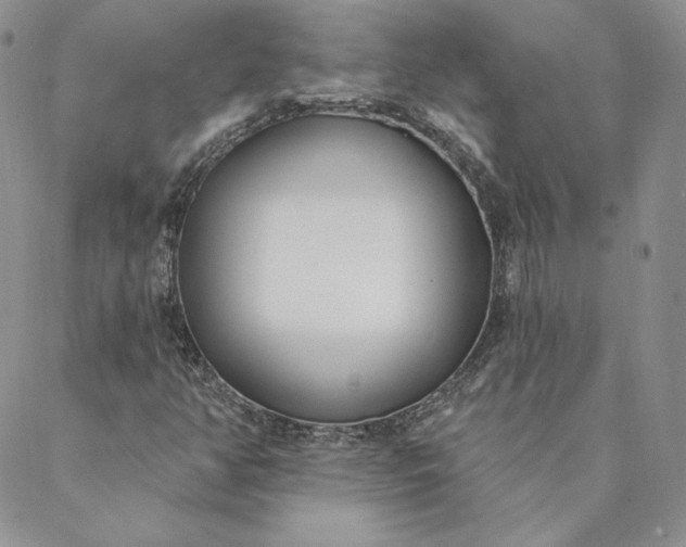 X0000088611350200706081424