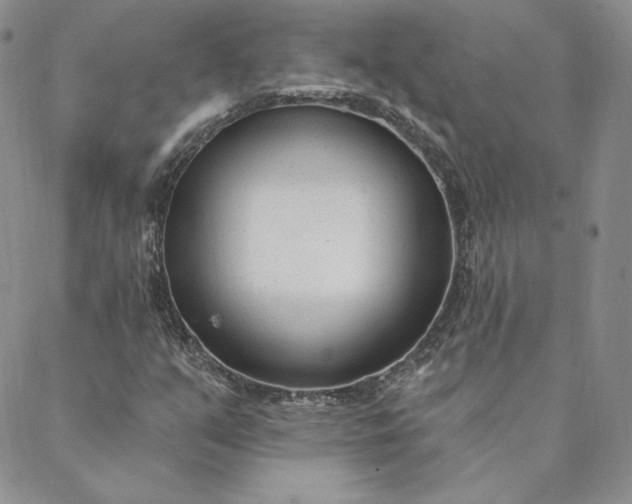 X0000088611351200706081424