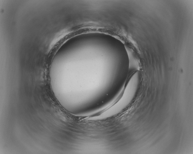 X0000088611352200706081424