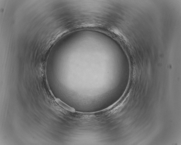 X0000088611353200706081424