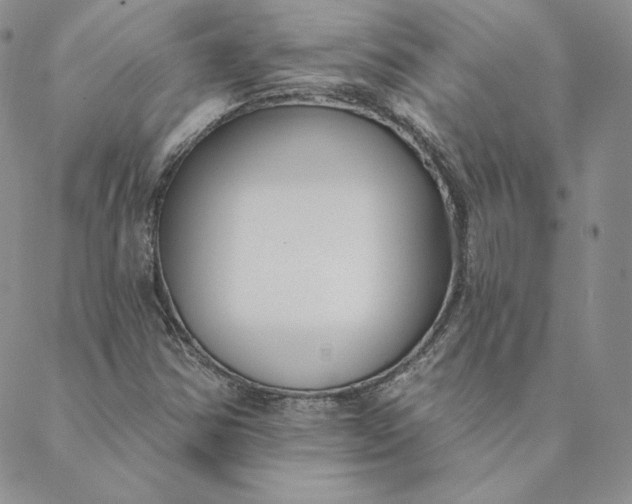 X0000088611354200706081424