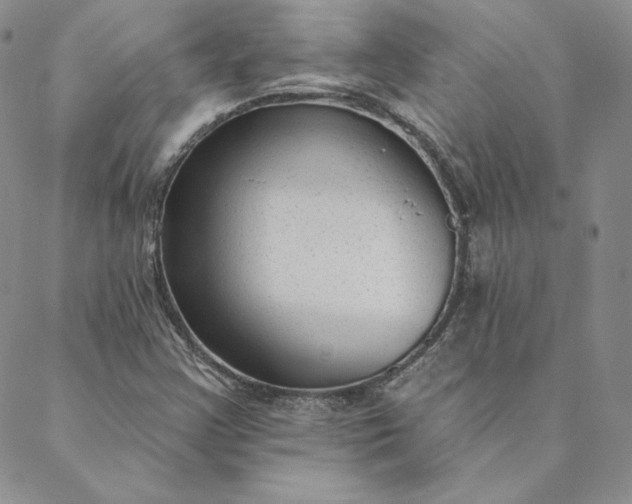 X0000088611355200706081424