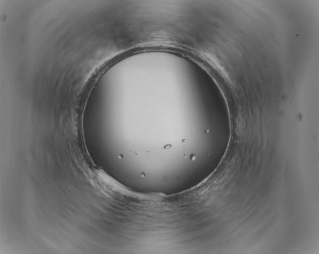 X0000088611356200706081424