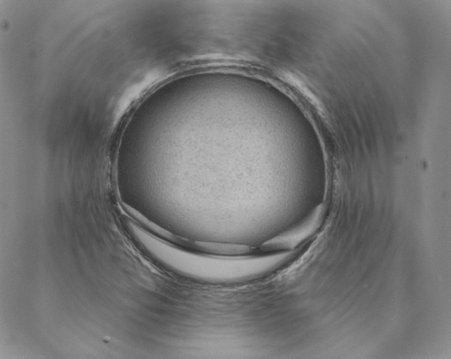 X0000088611357200706081424