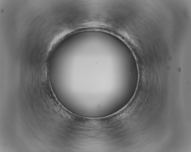 X0000088611358200706081424