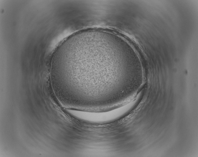 X0000088611359200706081424