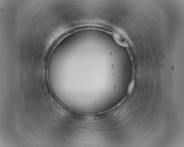 X0000088611360200706081424