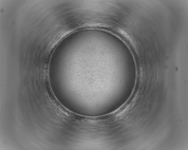 X0000088611361200706081424