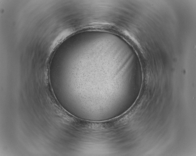 X0000088611362200706081424