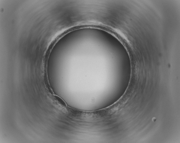 X0000088611364200706081424