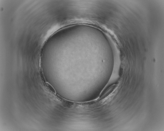 X0000088611365200706081424