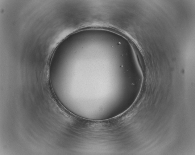 X0000088611367200706081424