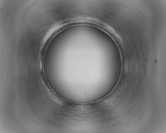 X0000088611368200706081424