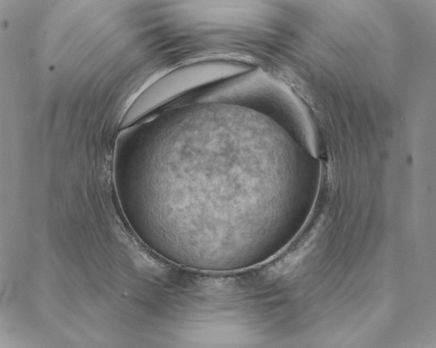 X0000088611369200706081424