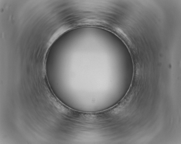 X0000088611370200706081423