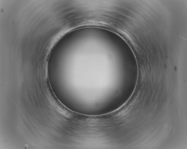 X0000088611371200706081423