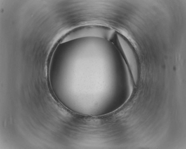 X0000088611372200706081423