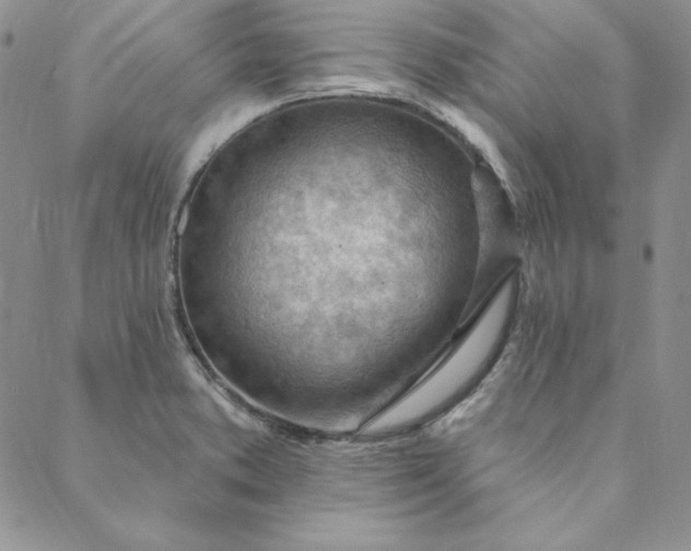 X0000088611373200706081423