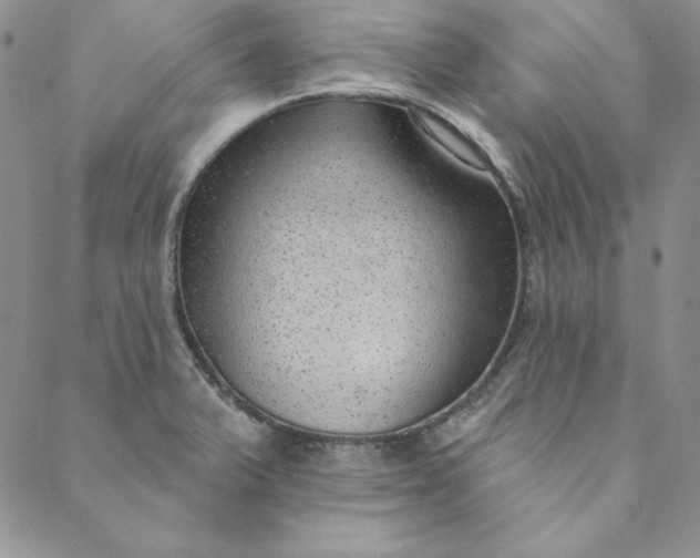 X0000088611375200706081423