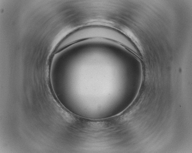 X0000088611376200706081423