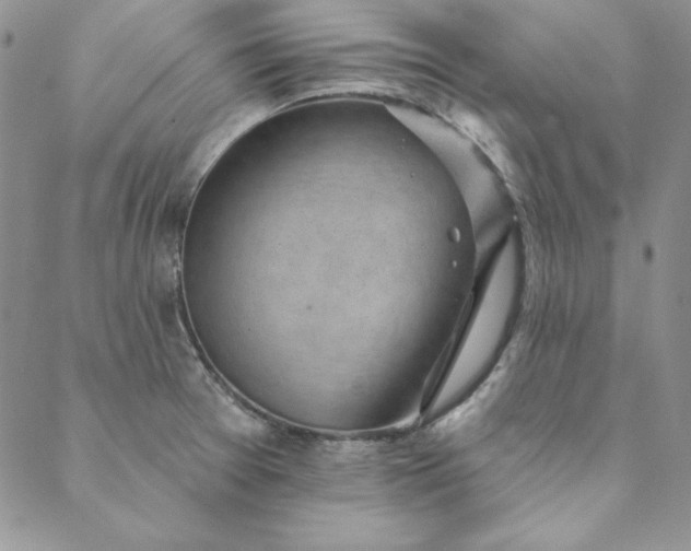 X0000088611377200706081423